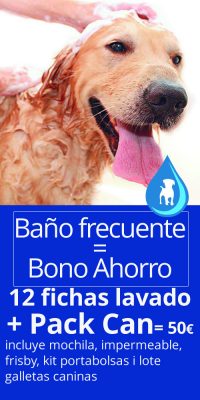 bonobañofrecuente lavado mascotas barcelona lavado perros lavalotodo.net